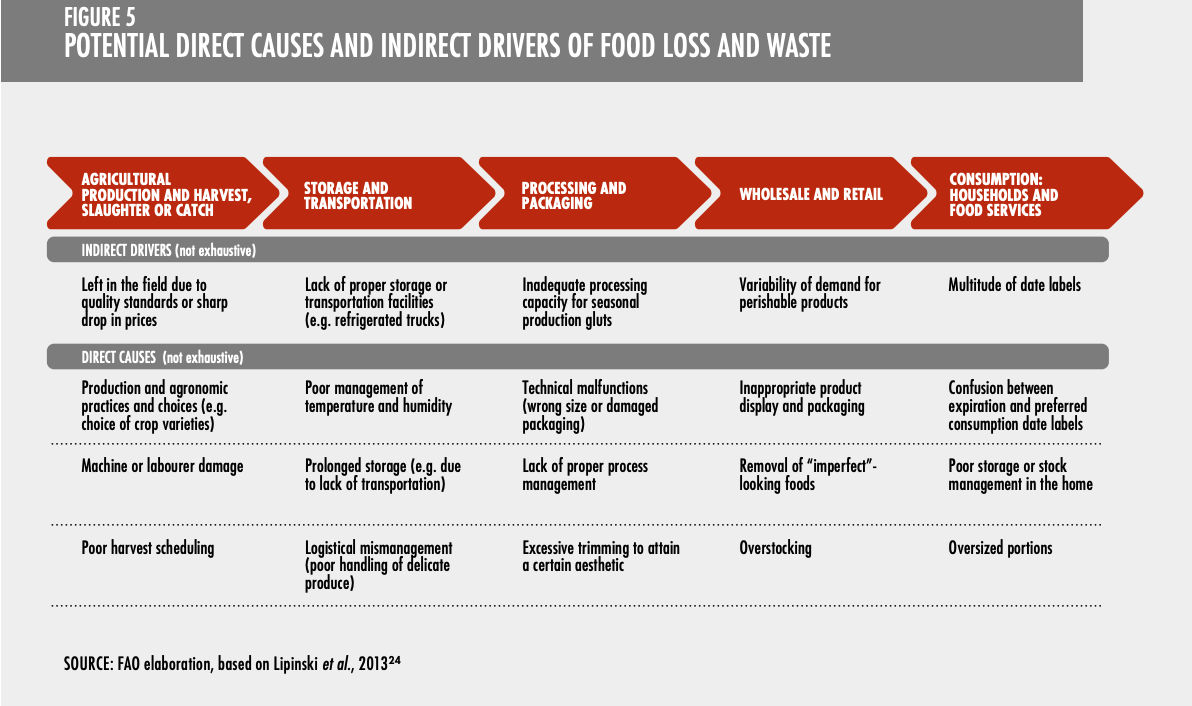 Credit: https://openknowledge.fao.org/server/api/core/bitstreams/11f9288f-dc78-4171-8d02-92235b8d7dc7/content